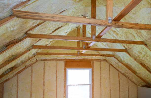Best Insulation Inspection Services  in Clendon, AR