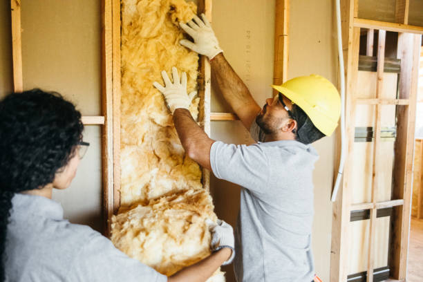 Best Fiberglass Insulation  in Clendon, AR
