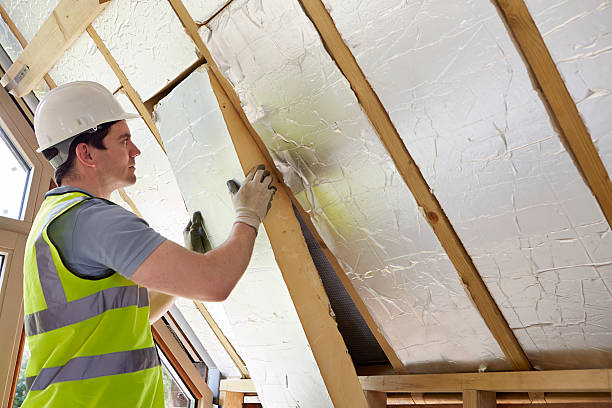 Best Blown-in Insulation  in Clendon, AR