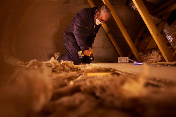 Best Insulation Replacement Services  in Clendon, AR
