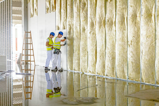 Best Insulation Repair Services  in Clendon, AR